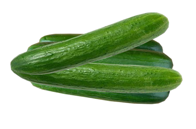 Salatalık