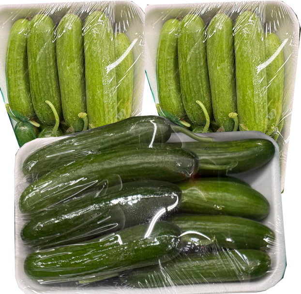Salatalık